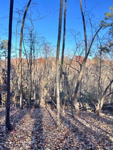 Recreational Property for sale in Greenville County, South Carolina