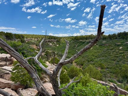 Hunting Land for sale in Dolores County, Colorado