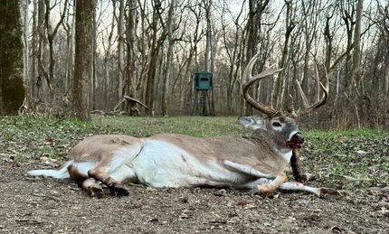 Property for sale in Coahoma County, Mississippi