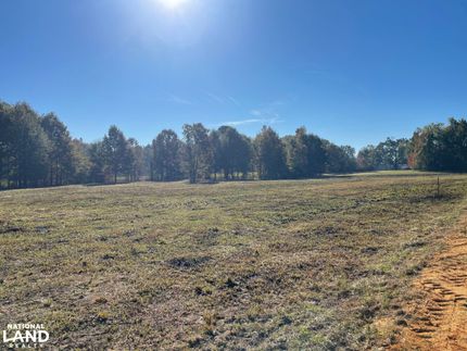 Riverfront Property for sale in Wilcox County, Alabama