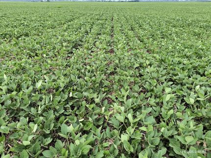 Property for sale in Madison County, Ohio