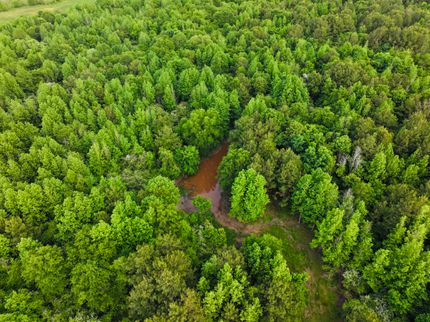 Property for sale in Cass County, Texas