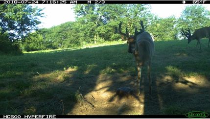 Property in Clarke County, Iowa