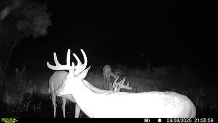 Property in Deuel County, South Dakota