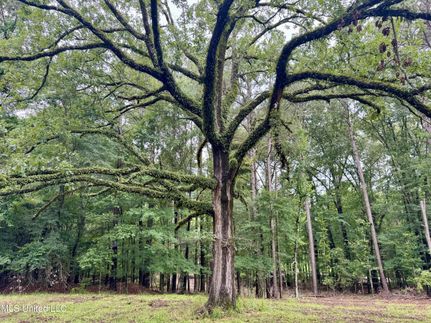 Undeveloped Land for sale in Madison County, Mississippi