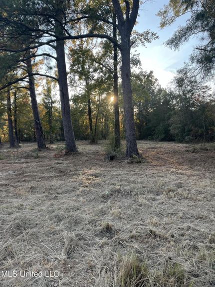 Lakefront Property for sale in Forrest County, Mississippi