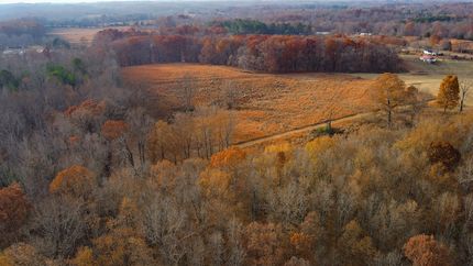 Property for sale in Lauderdale County, Alabama