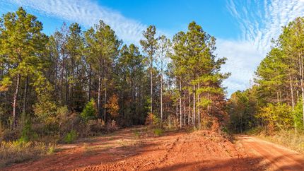 Residential Property for sale in Chambers County, Alabama