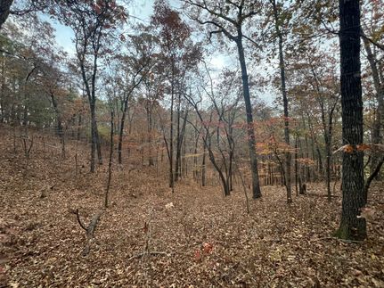 Residential Property for sale in Tallapoosa County, Alabama