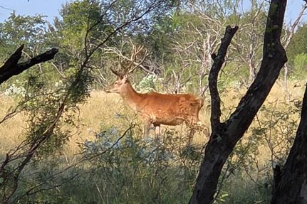 Property for sale in Milam County, Texas