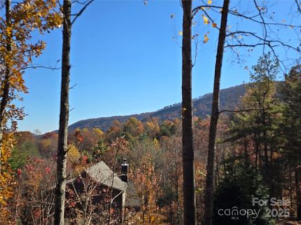 Property for sale in McDowell County, North Carolina