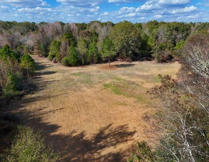 Hunting Land for sale in Dallas County, Alabama