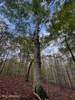 Undeveloped Land for sale in Benton County, Mississippi