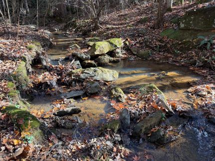 Property for sale in Walton County, Georgia