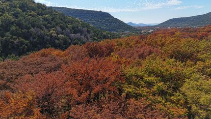 Commercial Property for sale in Real County, Texas