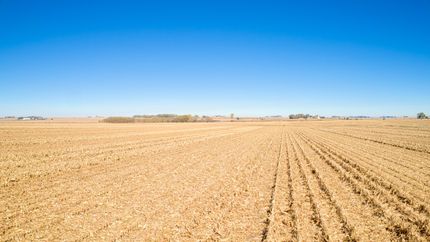 Property for sale in Buena Vista County, Iowa