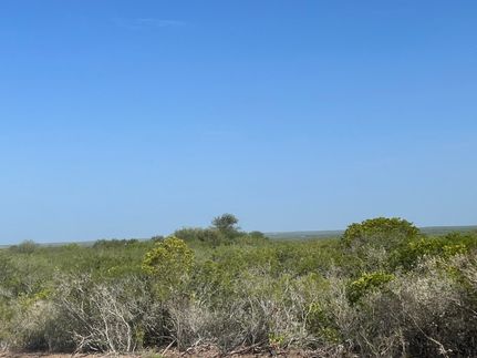 Property for sale in Duval County, Texas