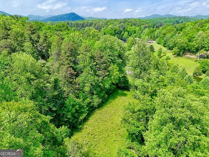 Undeveloped Land for sale in Rabun County, Georgia