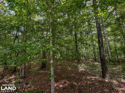 Property for sale in Montgomery County, Alabama
