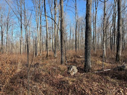 Hunting Land for sale in Forest County, Wisconsin