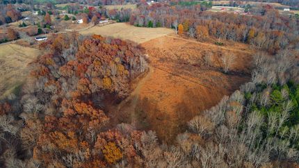 Property for sale in Lauderdale County, Alabama