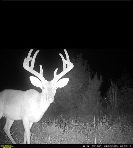 Property in Kemper County, Mississippi