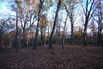 Undeveloped Land for sale in Hampshire County, West Virginia