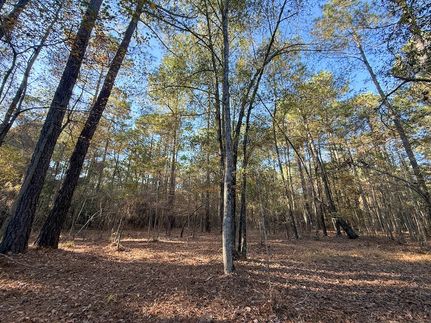 Ranch Property for sale in Dillon County, South Carolina
