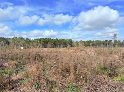 Undeveloped Land for sale in Franklin County, Mississippi