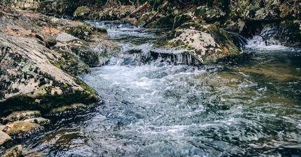 Hunting Land for sale in Roanoke County, Virginia