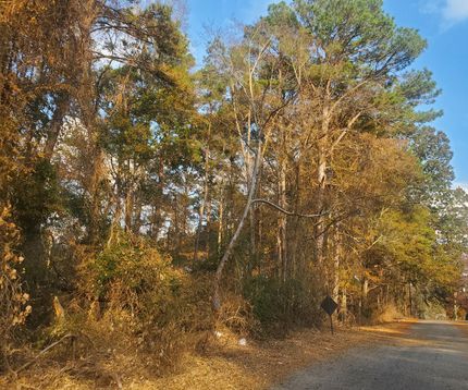 Property for sale in Randolph County, Alabama