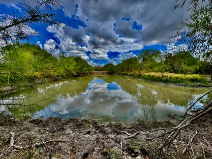 Hunting Land for sale in Wilson County, Texas