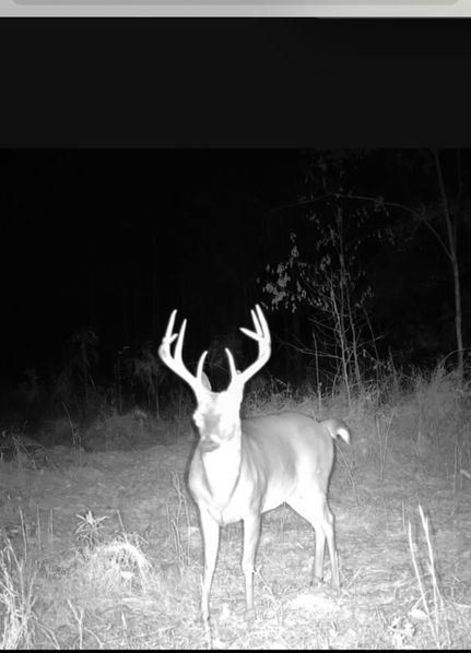 Property for sale in Carroll County, Mississippi