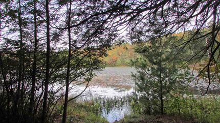 Recreational Property for sale in Sullivan County, New York