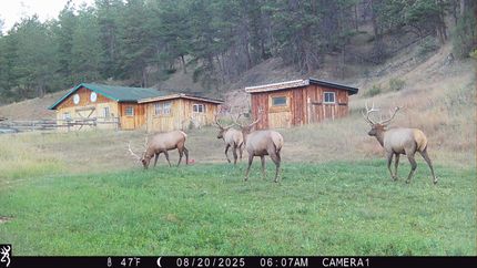 Property for sale in Fall River County, South Dakota