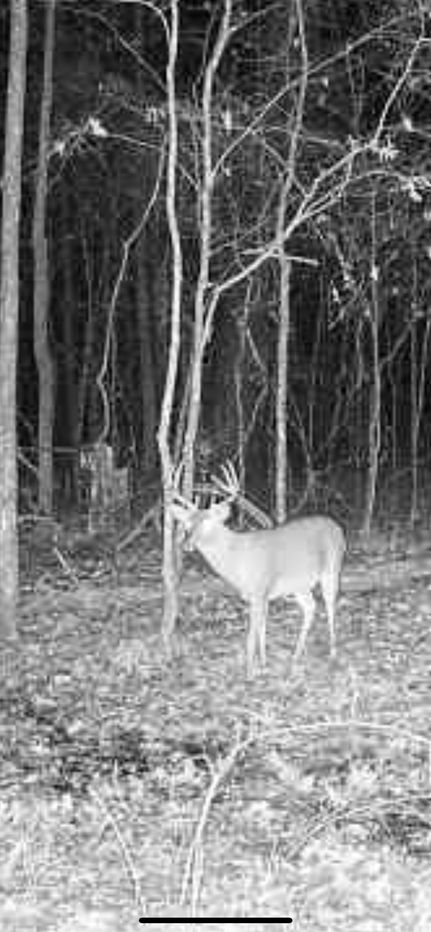 Property for sale in Montgomery County, Mississippi