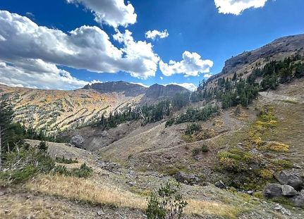 Property for sale in Park County, Wyoming