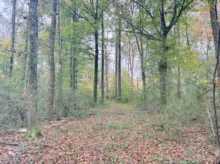 Property for sale in Pike County, Mississippi