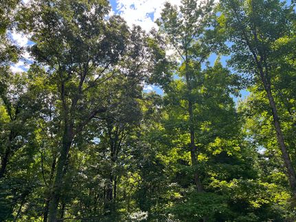 Property for sale in Claiborne County, Mississippi