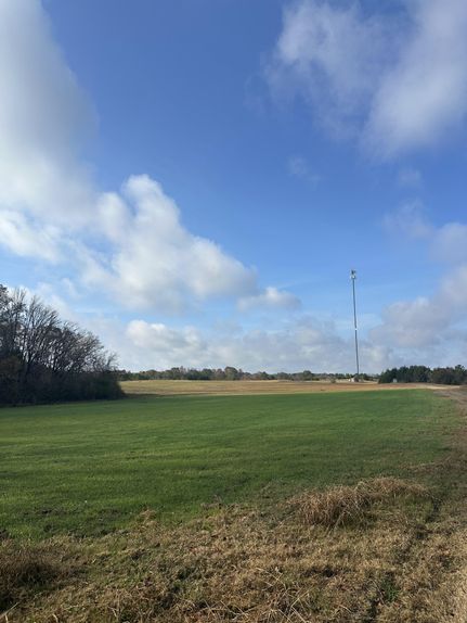 Hunting Land for sale in Choctaw County, Alabama