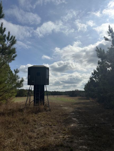 Property for sale in Clarke County, Mississippi