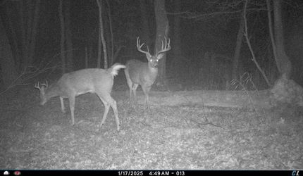 Property for sale in Juneau County, Wisconsin