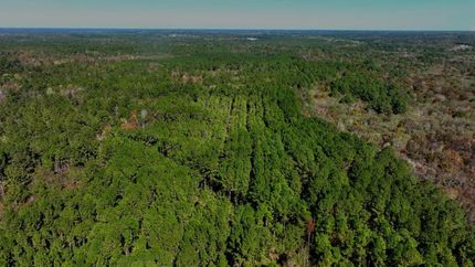 Property for sale in Bulloch County, Georgia