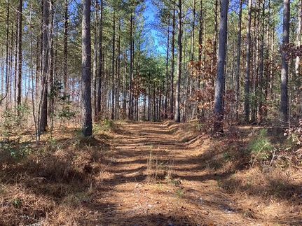 Property for sale in Campbell County, Virginia