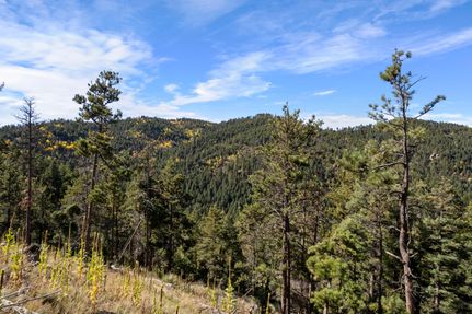 Property for sale in Douglas County, Colorado