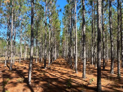 Property for sale in Chesterfield County, South Carolina