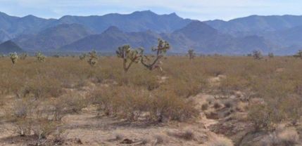 Property for sale in Mohave County, Arizona