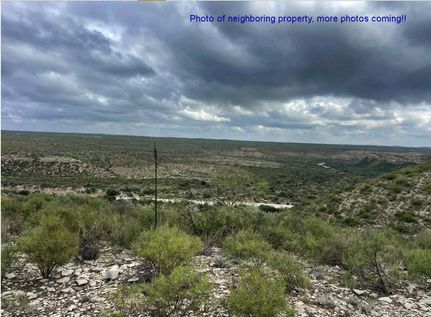 Riverfront Property for sale in Terrell County, Texas