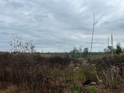 Property in Monroe County, Alabama