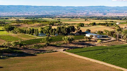Property for sale in Montrose County, Colorado